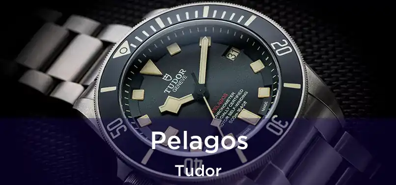 Pelagos Tudor